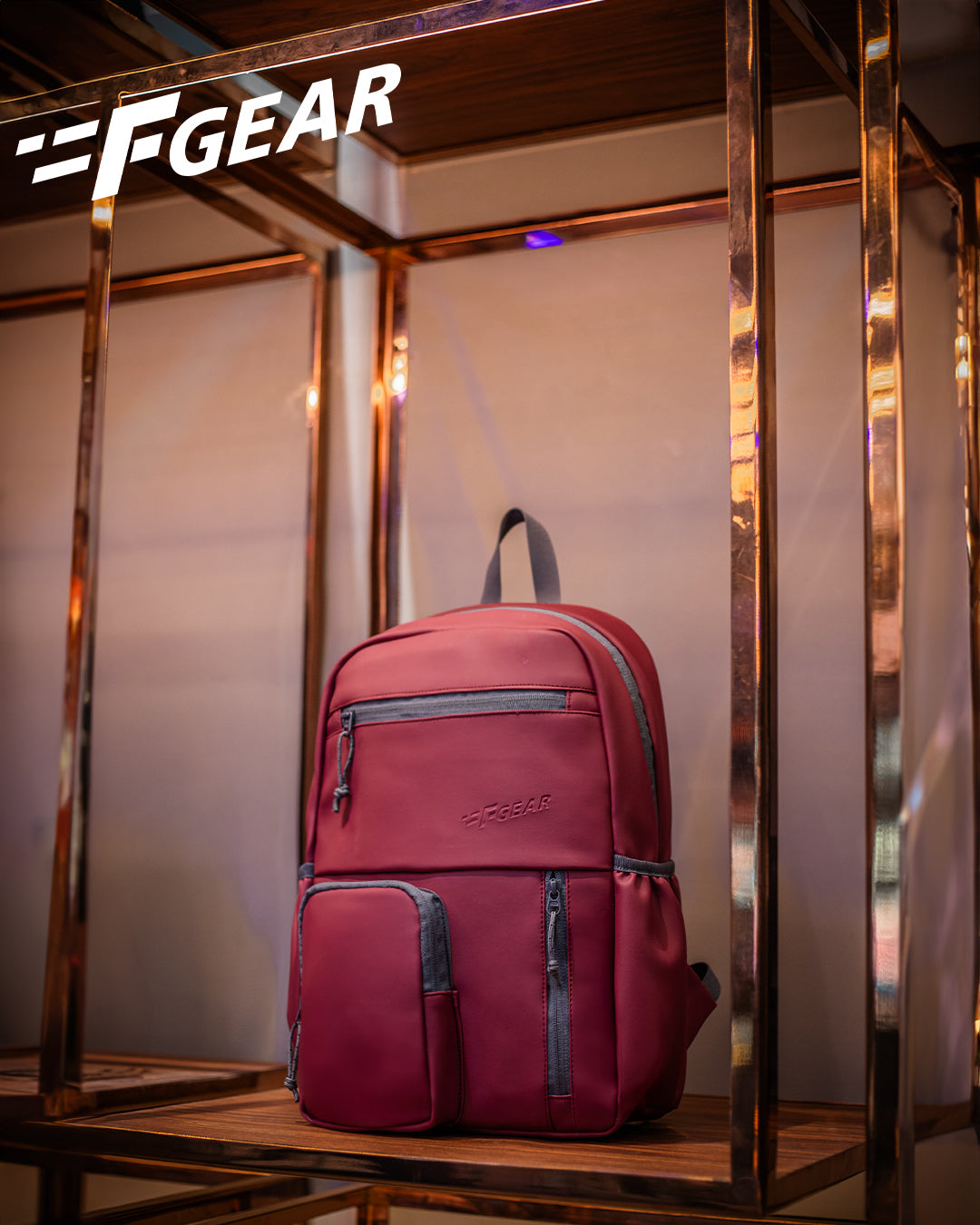 Blaze 10 L Maroon Backpack