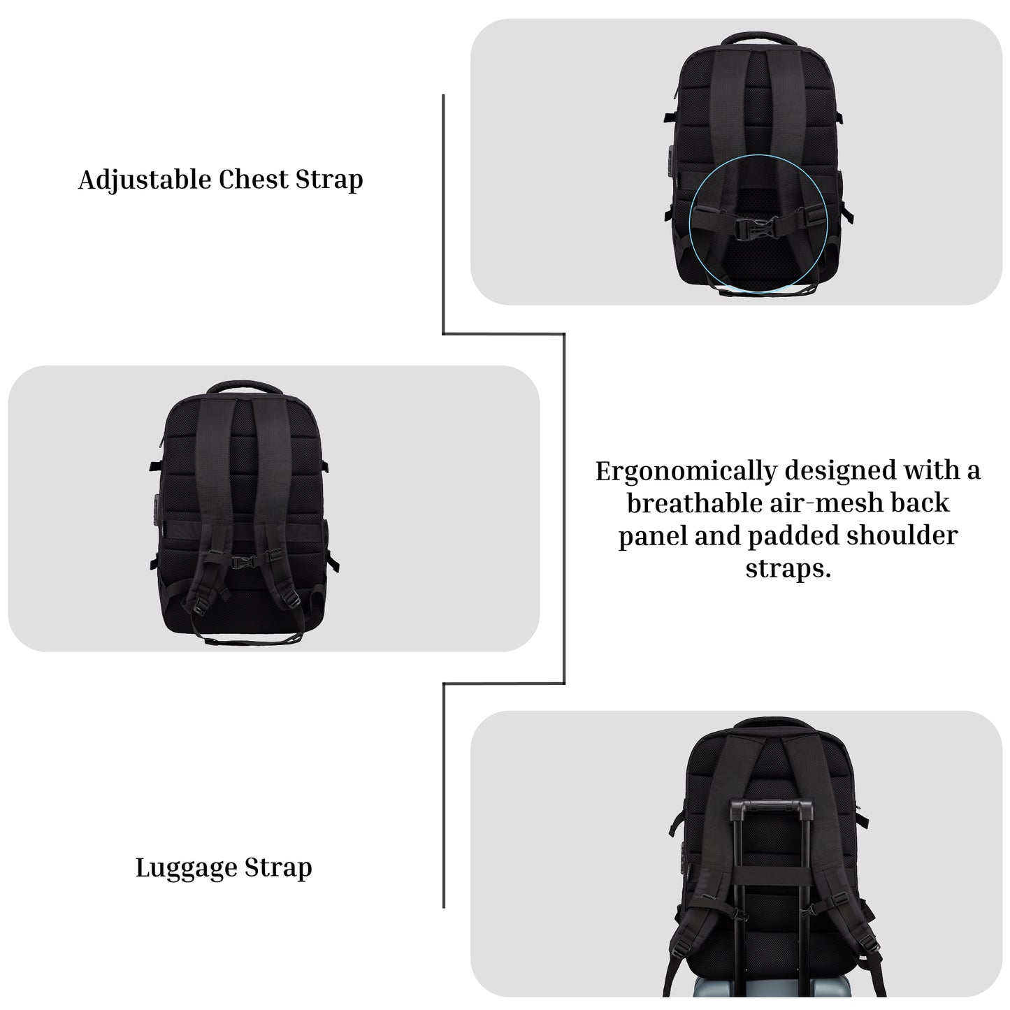Vetra 40L Black Cabin size Laptop Backpack