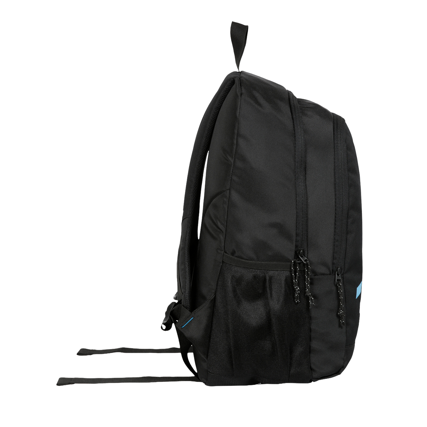 Castle 22L Black Backpack