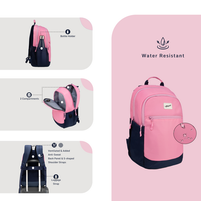 Balanzo 16L Pink Laptop Backpack