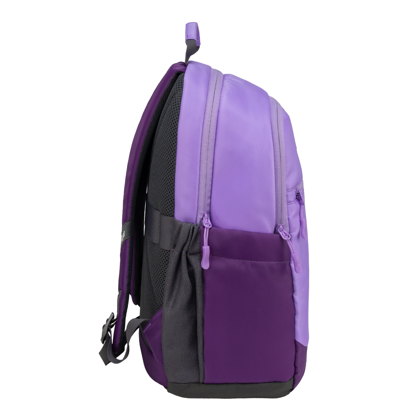 Balanzo 16L Lavender Laptop Backpack