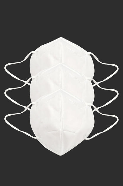 F Gear N95 Mask Pack of 3 (3640)
