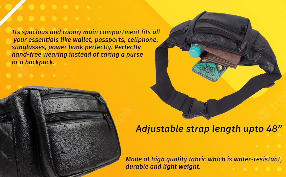 【日本限定モデル】  Czar Black Waist Bag – F Gear.in バッグ